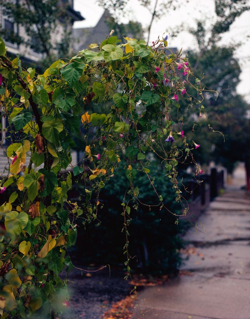 © Anna Leigh Clem - Image from the Visitor photography project
