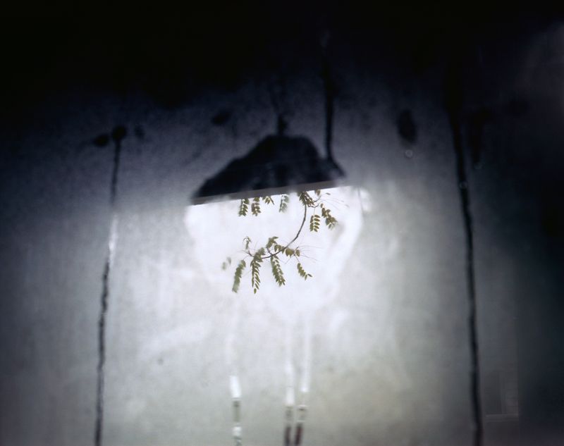 © Anna Leigh Clem - Image from the Visitor photography project