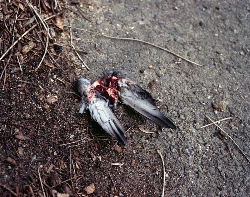 © Anna Leigh Clem - Image from the Visitor photography project