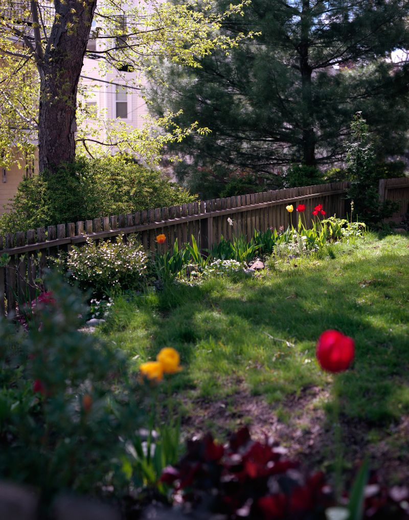 © Anna Leigh Clem - Image from the Visitor photography project