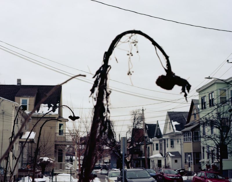 © Anna Leigh Clem - Image from the Visitor photography project