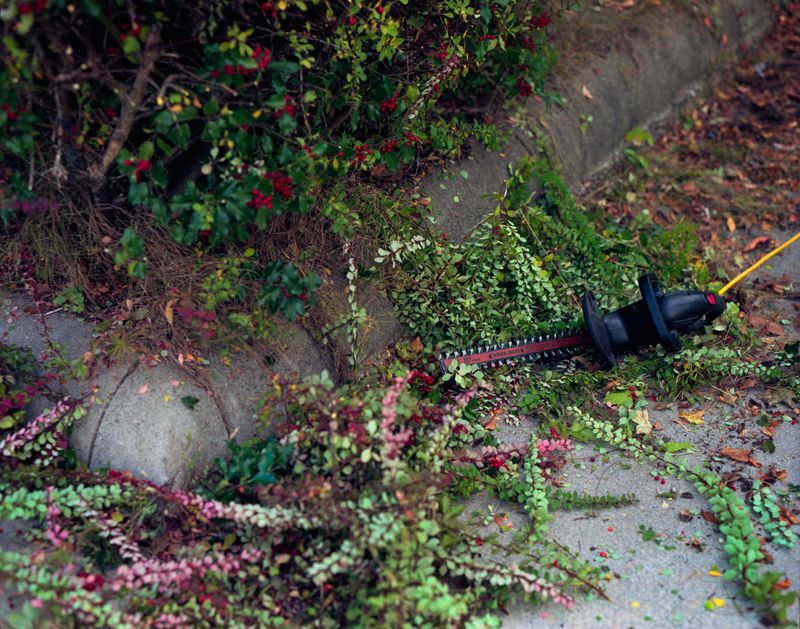 © Anna Leigh Clem - Image from the Visitor photography project