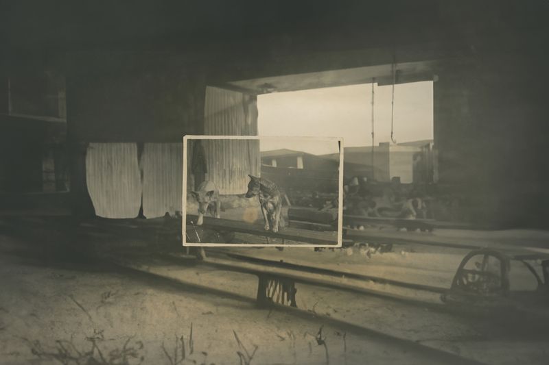 © BARBARA ZANON - Image from the Temporal Misunderstanding photography project