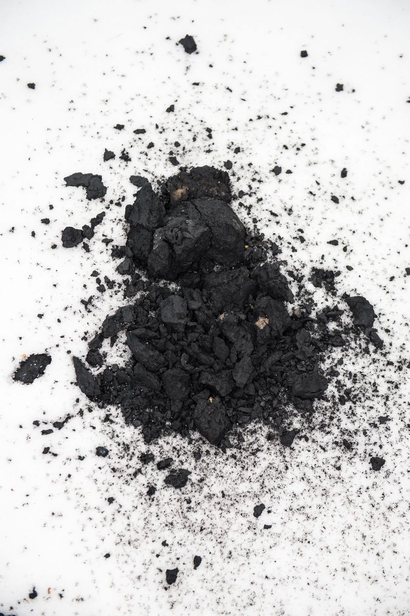 © Wiktor Kubiak - Image from the BarbOrka photography project