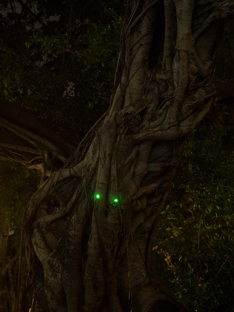 © Pierfrancesco Celada - Image from the When I feel down I take a train to the Happy Valley photography project