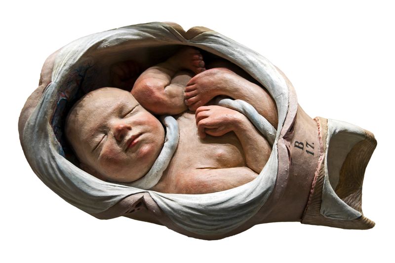 © Paul Bulteel - Image from the Birth photography project