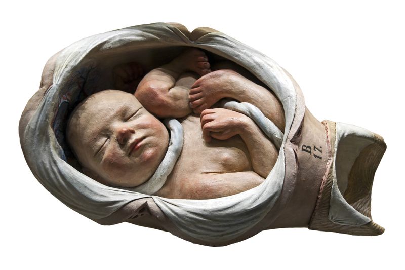 © Paul Bulteel - Image from the Birth photography project