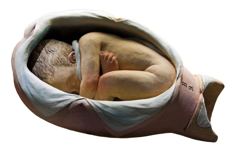 © Paul Bulteel - Image from the Birth photography project
