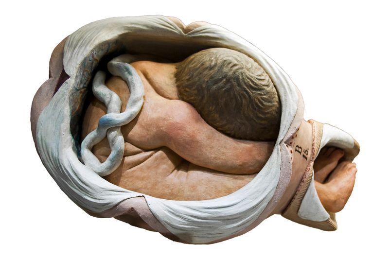 © Paul Bulteel - Image from the Birth photography project