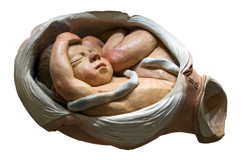 © Paul Bulteel - Image from the Birth photography project