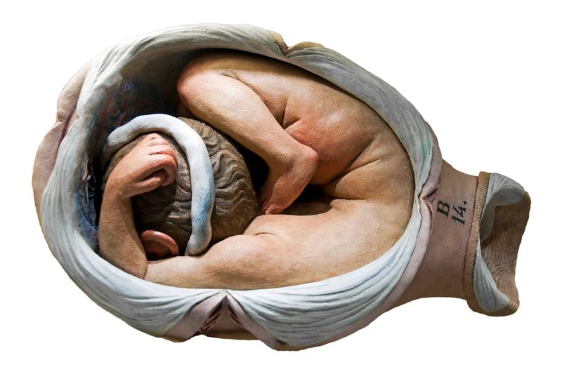 © Paul Bulteel - Image from the Birth photography project