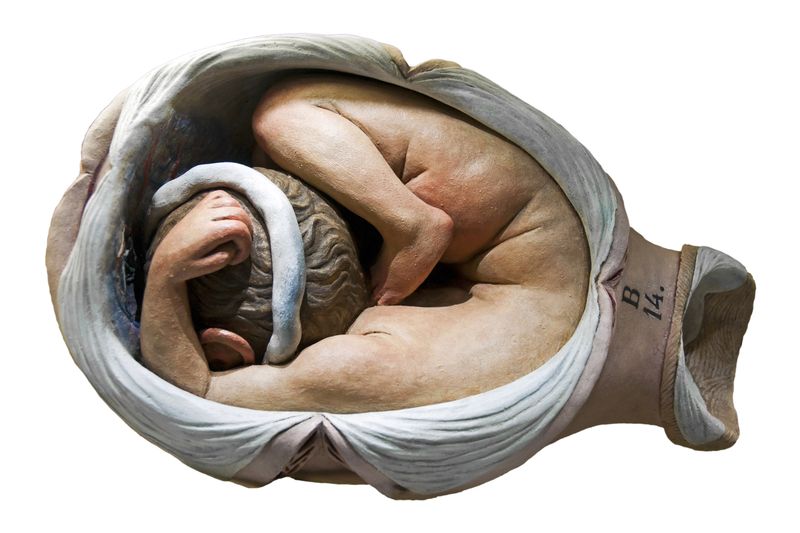© Paul Bulteel - Image from the Birth photography project