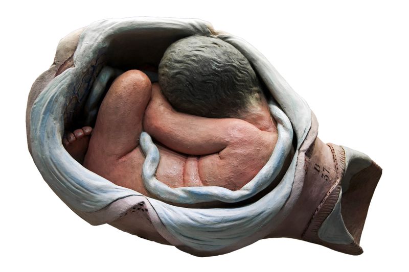 © Paul Bulteel - Image from the Birth photography project