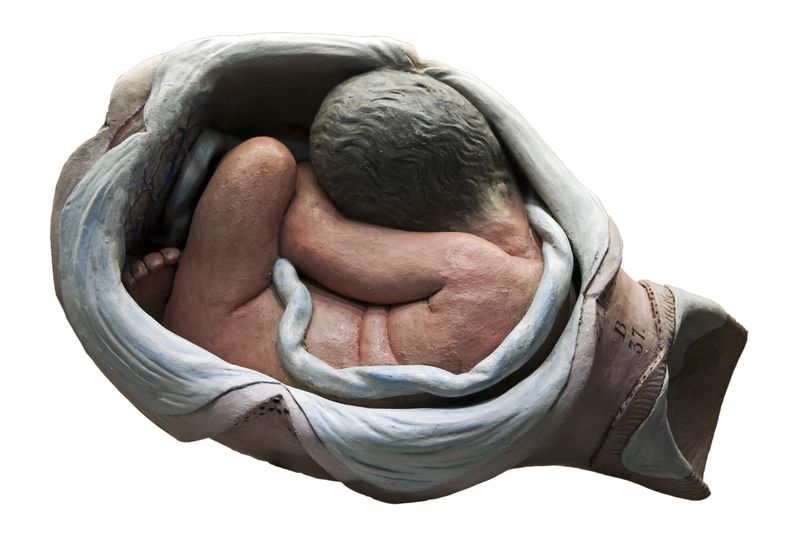 © Paul Bulteel - Image from the Birth photography project