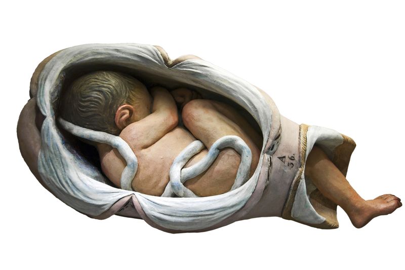 © Paul Bulteel - Image from the Birth photography project