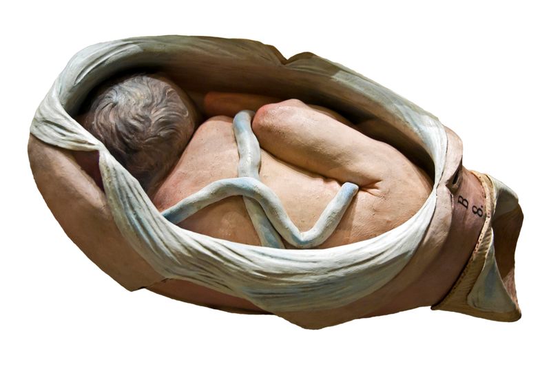 © Paul Bulteel - Image from the Birth photography project