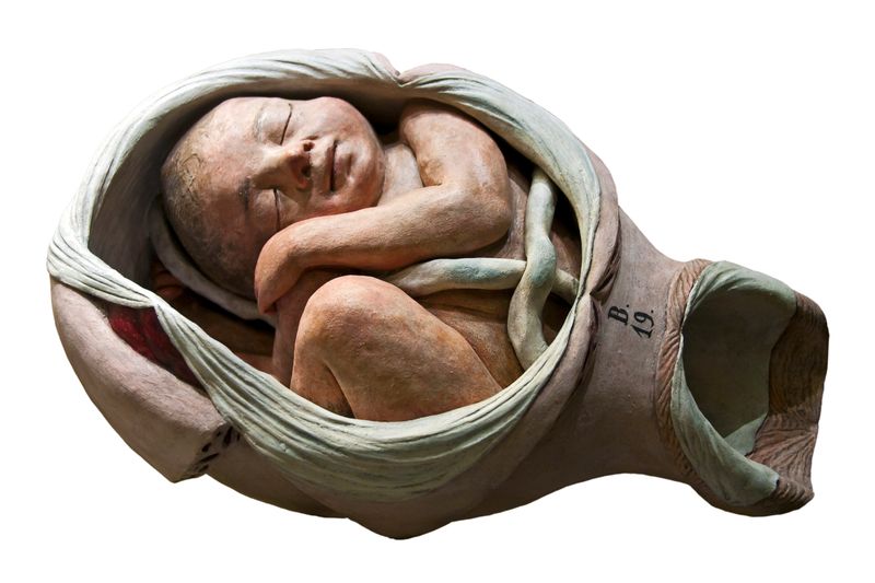 © Paul Bulteel - Image from the Birth photography project