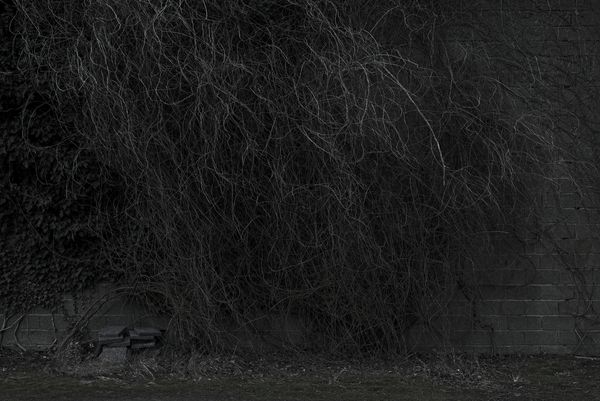 © Paul Bulteel - Image from the winterreise photography project