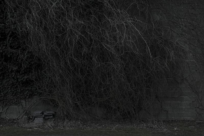 © Paul Bulteel - Image from the winterreise photography project
