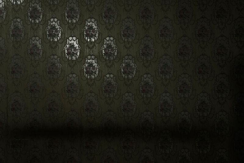 © Paul Bulteel - Image from the winterreise photography project