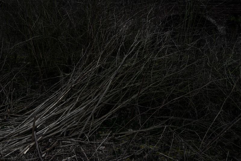 © Paul Bulteel - Image from the winterreise photography project