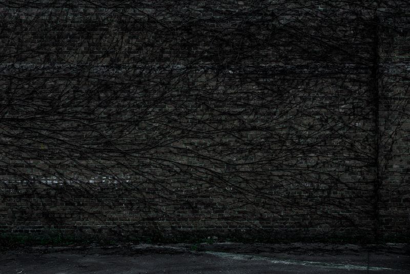 © Paul Bulteel - Image from the winterreise photography project