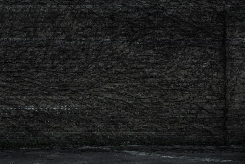 © Paul Bulteel - Image from the winterreise photography project