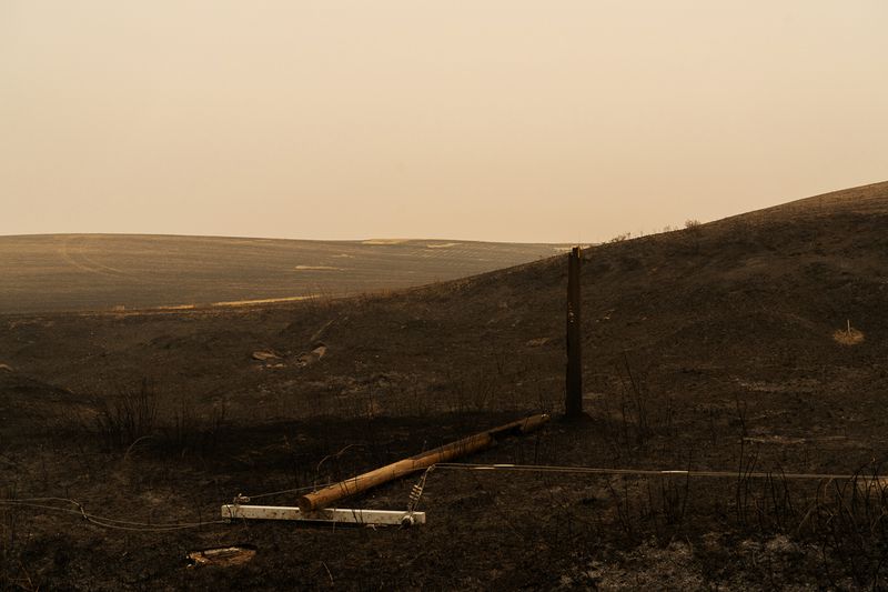 © Jessica Hays - Image from the The Sun Sets Midafternoon photography project