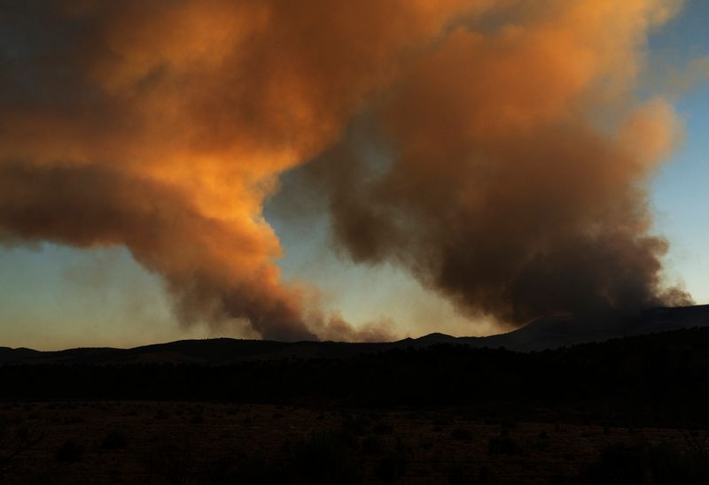 © Jessica Hays - Columns, 2025; Fires often burn on multiple fronts simultaneously.