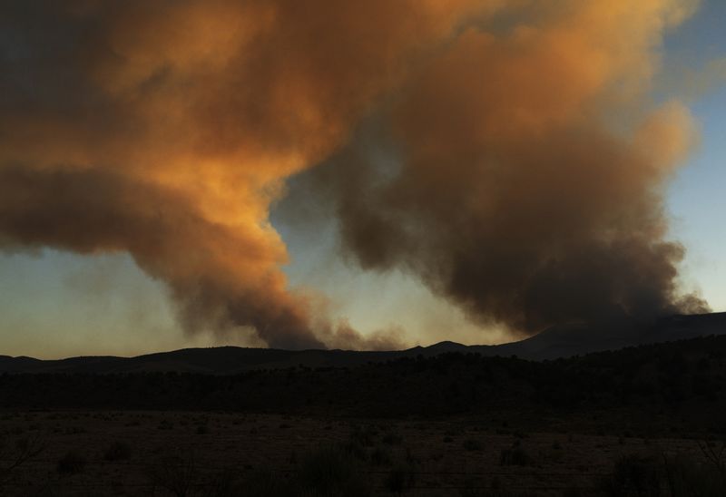 © Jessica Hays - Columns, 2025; Fires often burn on multiple fronts simultaneously.