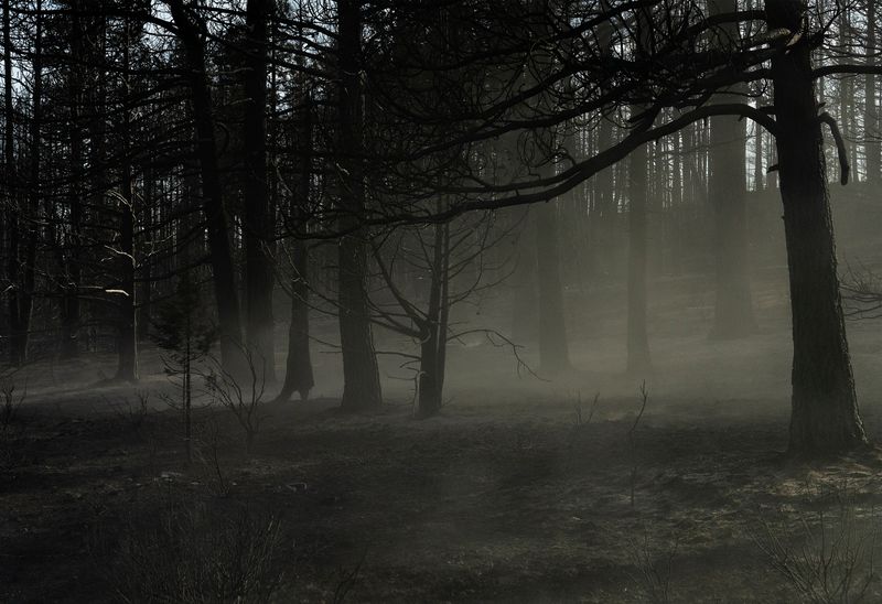 © Jessica Hays - Linger, 2023.