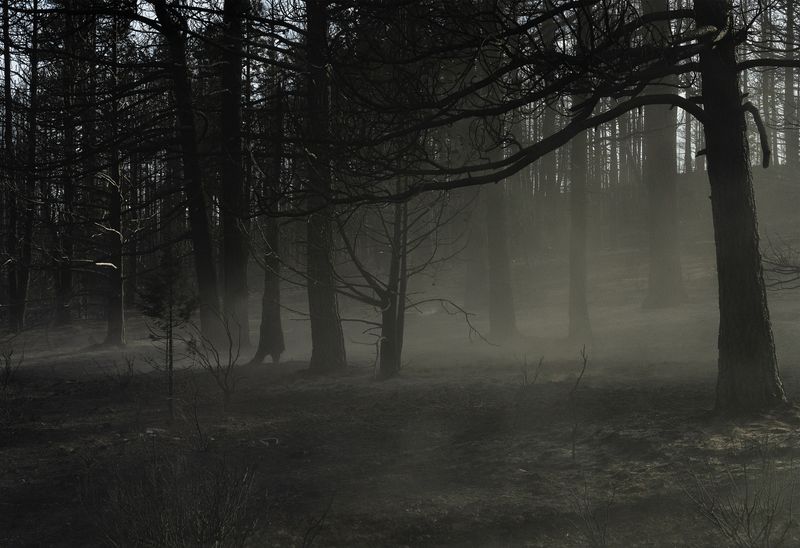 © Jessica Hays - Linger, 2023.