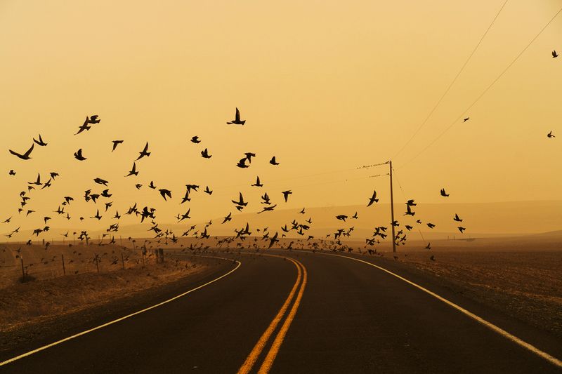 © Jessica Hays - Image from the The Sun Sets Midafternoon photography project