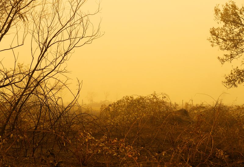 © Jessica Hays - In the Weeds, 2020 – Smoke obscures the neighborhood beyond this small, natural grass park in central Oregon.