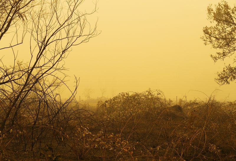 © Jessica Hays - In the Weeds, 2020 – Smoke obscures the neighborhood beyond this small, natural grass park in central Oregon.