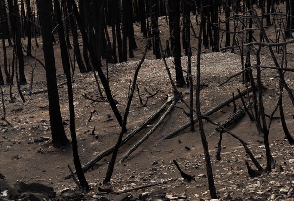 © Jessica Hays - Image from the The Sun Sets Midafternoon photography project