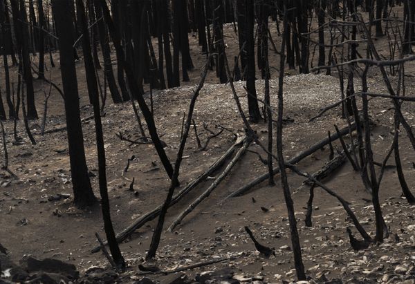 © Jessica Hays - Image from the The Sun Sets Midafternoon photography project