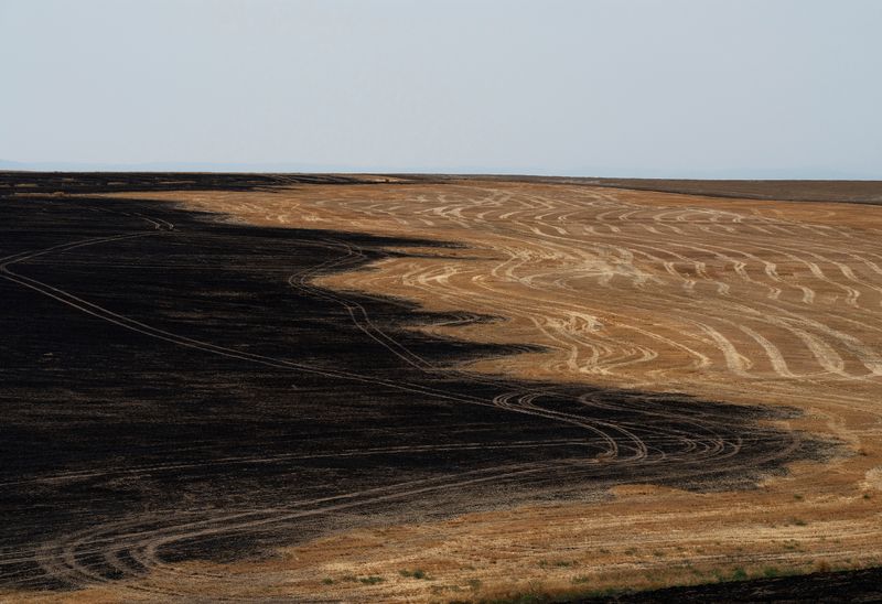 © Jessica Hays - Image from the The Sun Sets Midafternoon photography project