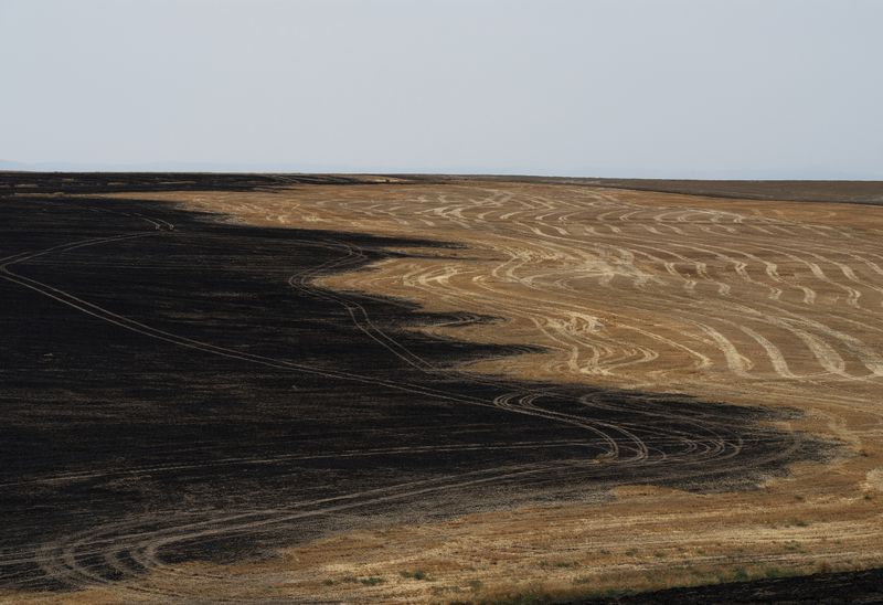 © Jessica Hays - Image from the The Sun Sets Midafternoon photography project