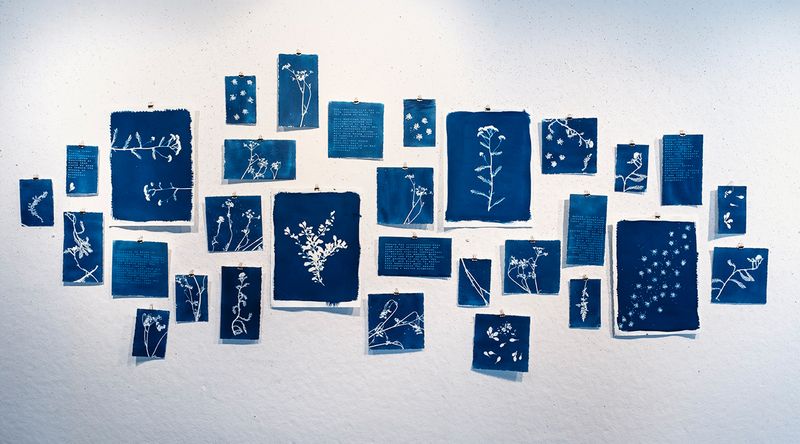 © Jessica Hays - Image from the The First Photo Book Was Blue photography project