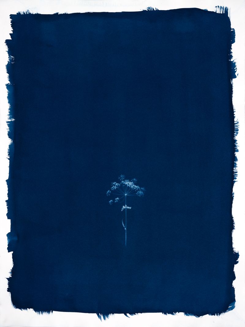 © Jessica Hays - Float, 22 inches x 30 inches