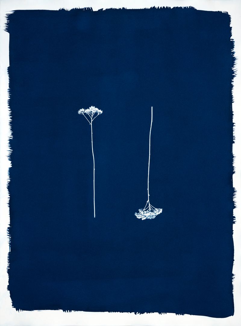 © Jessica Hays - Twin, 22 inches x 30 inches