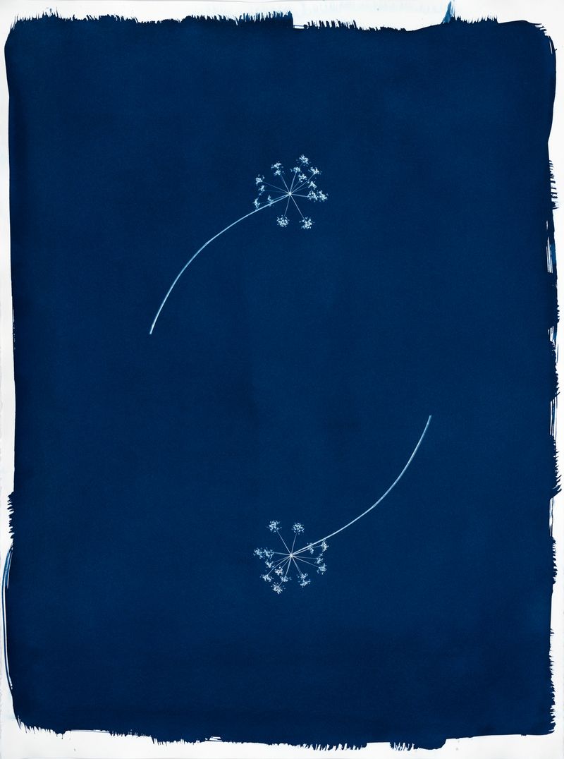 © Jessica Hays - Cycle, 22 inches x 30 inches