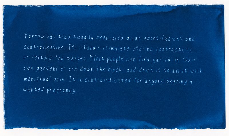 © Jessica Hays - Contraindicated, 9 inches x 5 inches