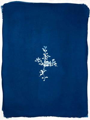 The First Photo Book Was Blue