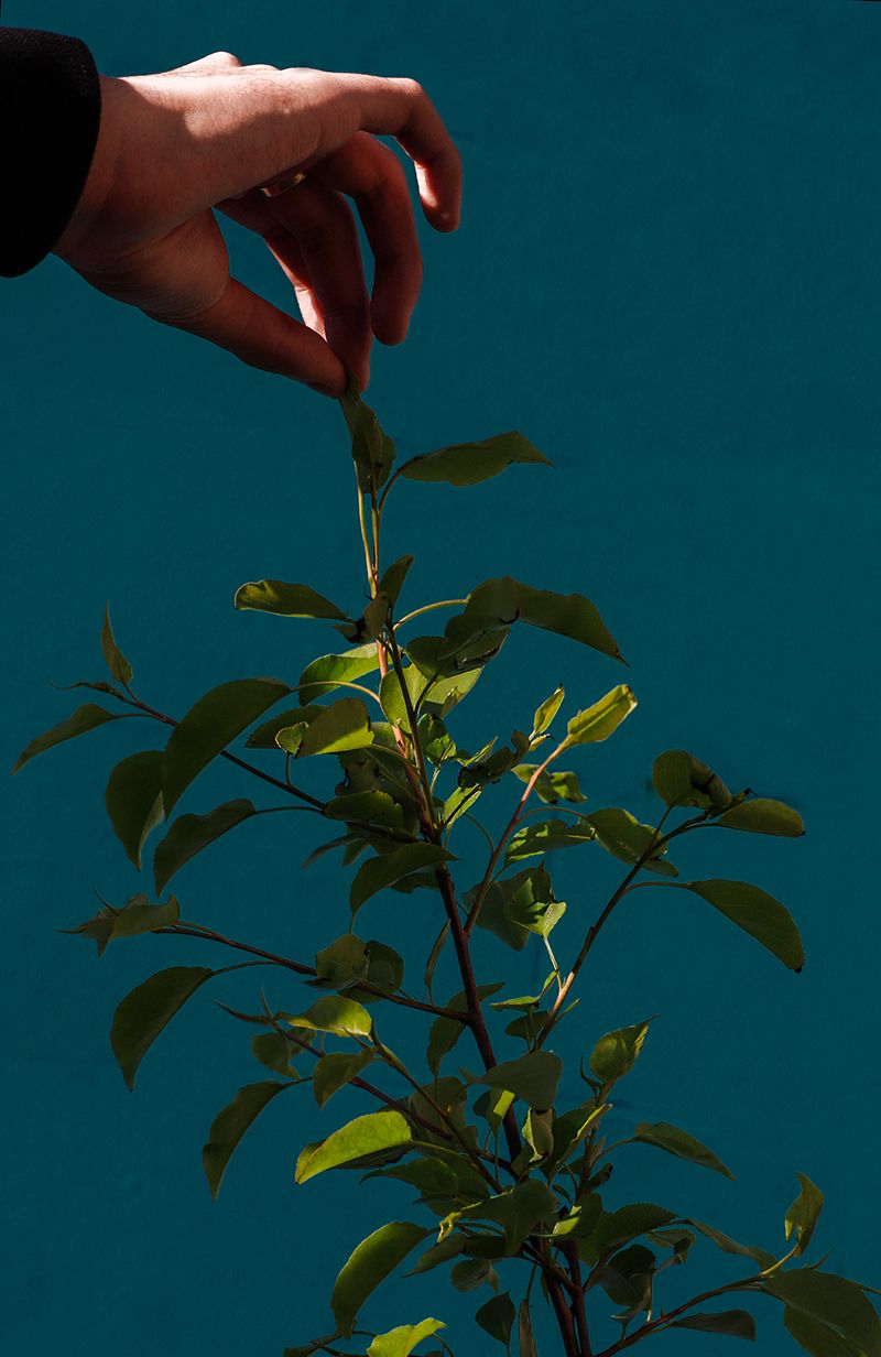 © Tianqi Liao - Image from the Utopian Vision photography project