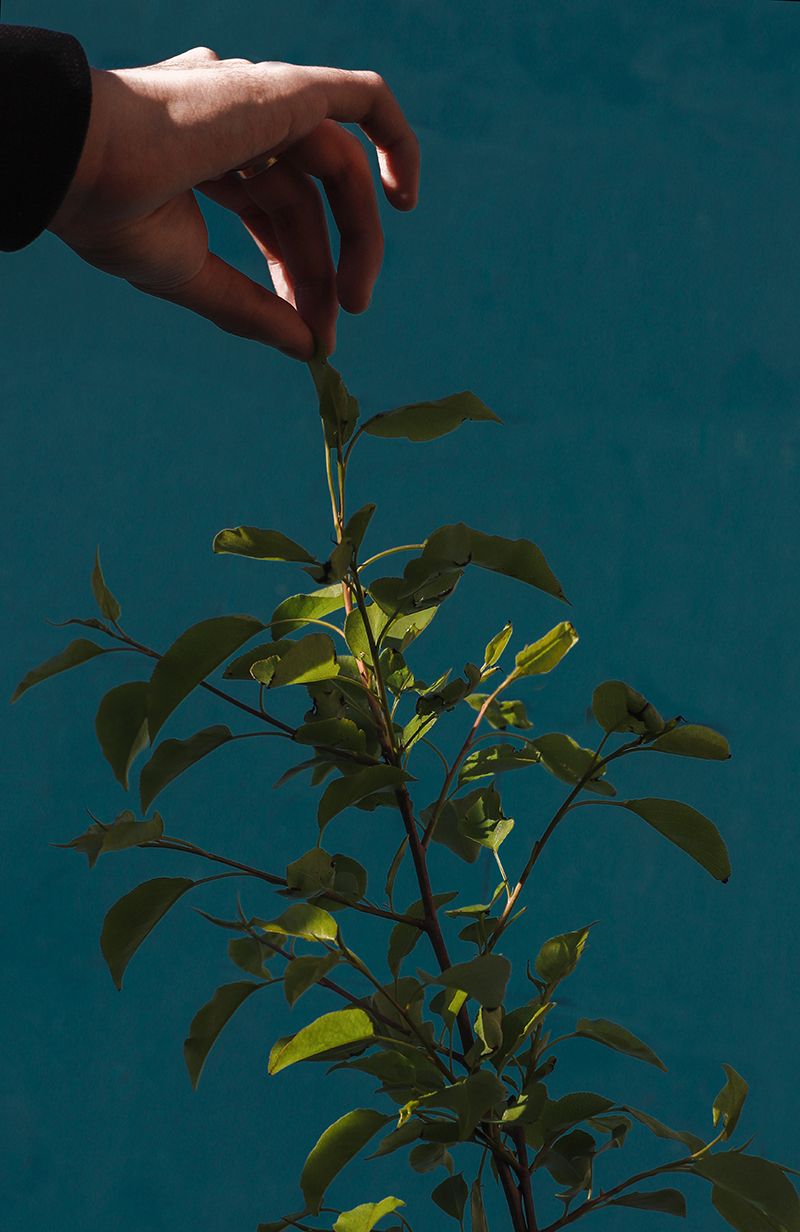 © Tianqi Liao - Image from the Utopian Vision photography project