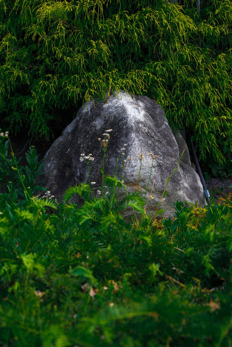 © Tianqi Liao - Image from the Utopian Vision photography project