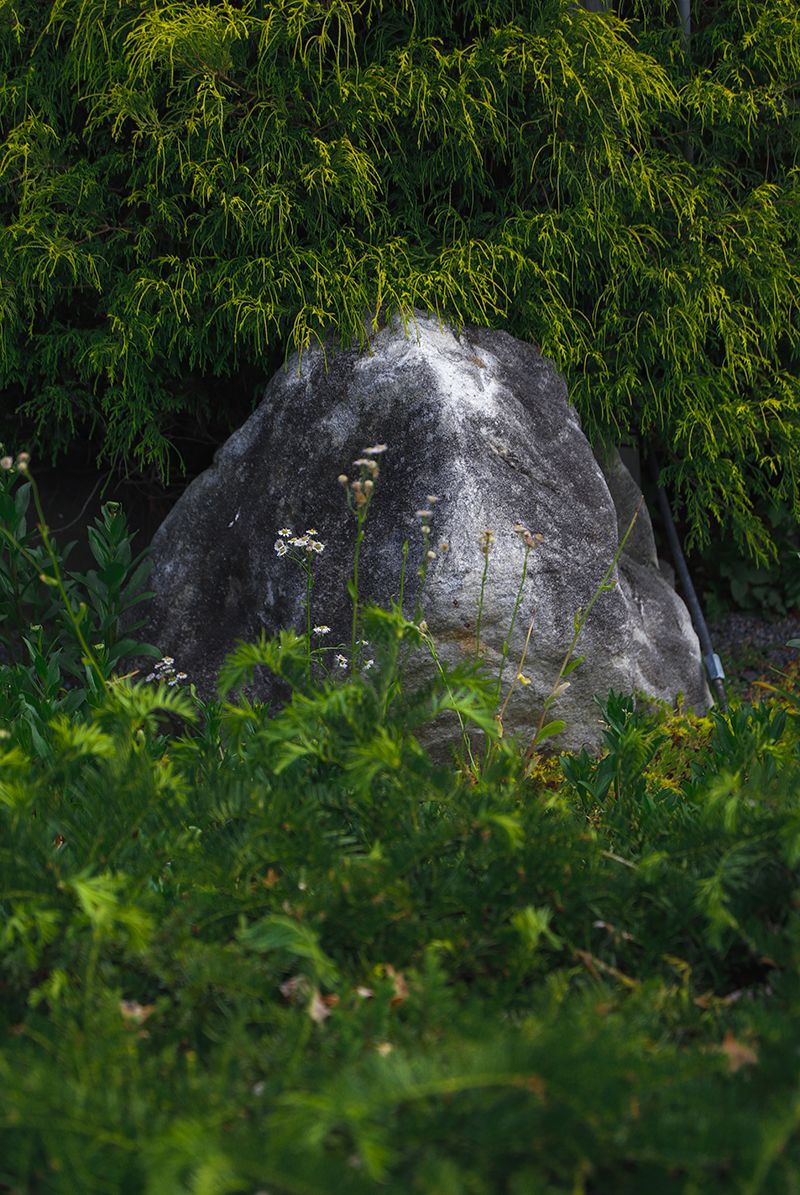 © Tianqi Liao - Image from the Utopian Vision photography project