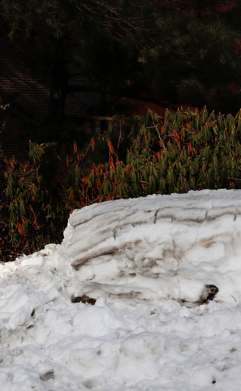 © Tianqi Liao - Image from the Aeons from the Scorching Sun photography project